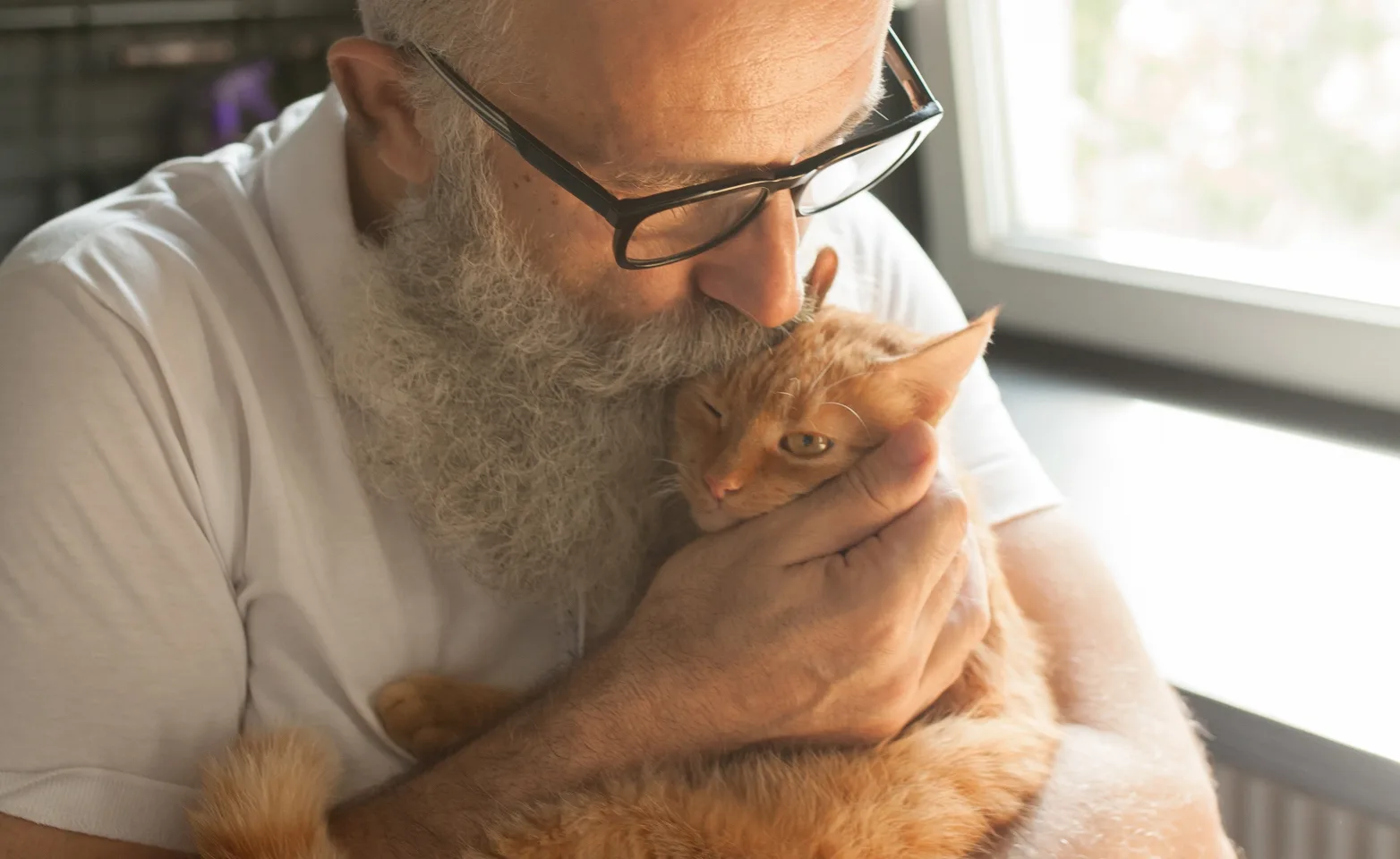 an old man wearing glasses cradles a small orange cat in his arms